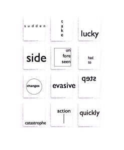 Visual Poetry by David Felix 